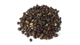 Palm Kernel